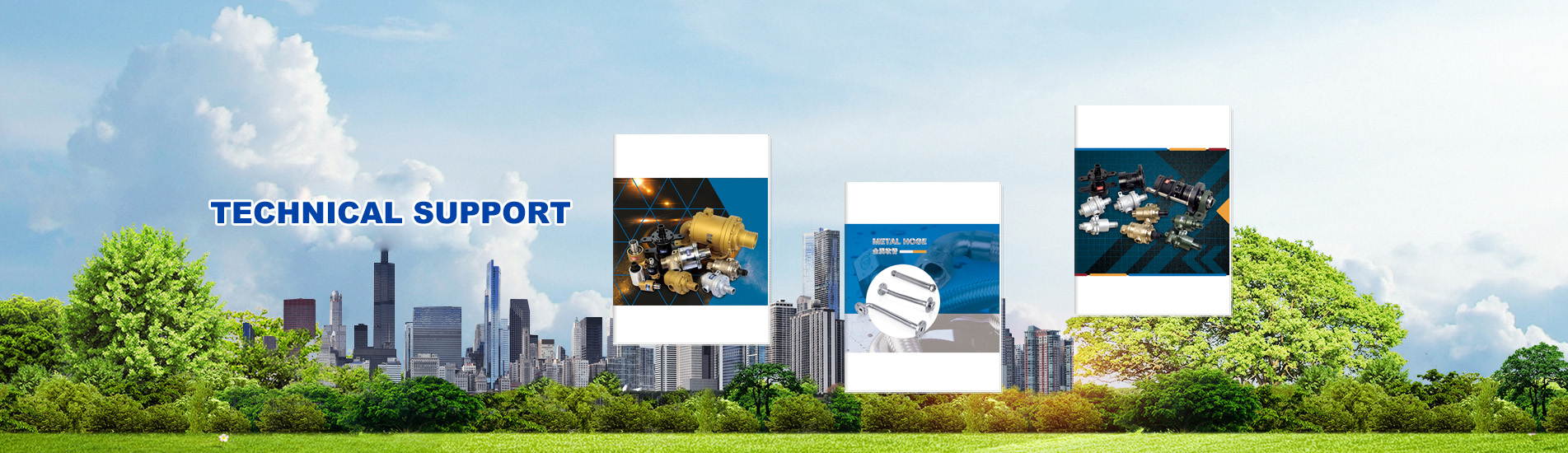 z6.com(�й���)�ٷ���վ