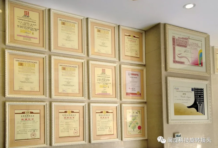 z6.com(�й���)�ٷ���վ