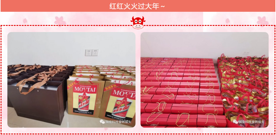 z6.com(�й���)�ٷ���վ